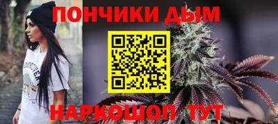 МДПВ Будённовск