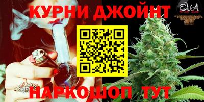 МДПВ Будённовск