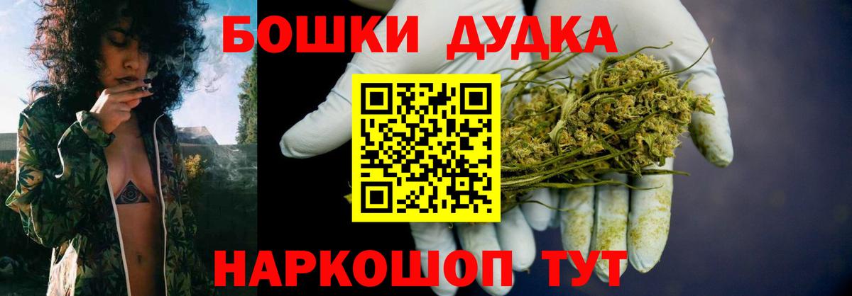 Каннабис план Кузнецк